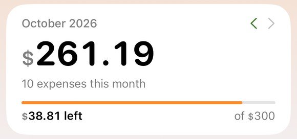 Monthly total card with an orange progress bar: $38.81 left of $300